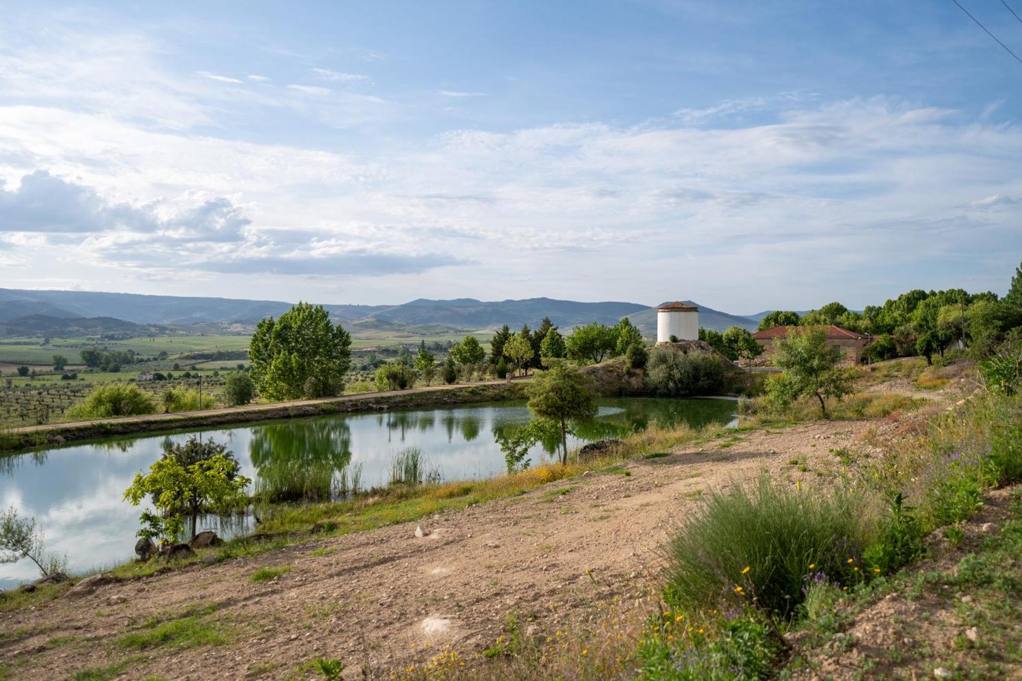 Гостьовий будинок Quinta Da Terrincha Торрі-ді-Монкорву Екстер'єр фото