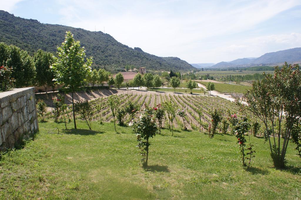 Гостьовий будинок Quinta Da Terrincha Торрі-ді-Монкорву Екстер'єр фото