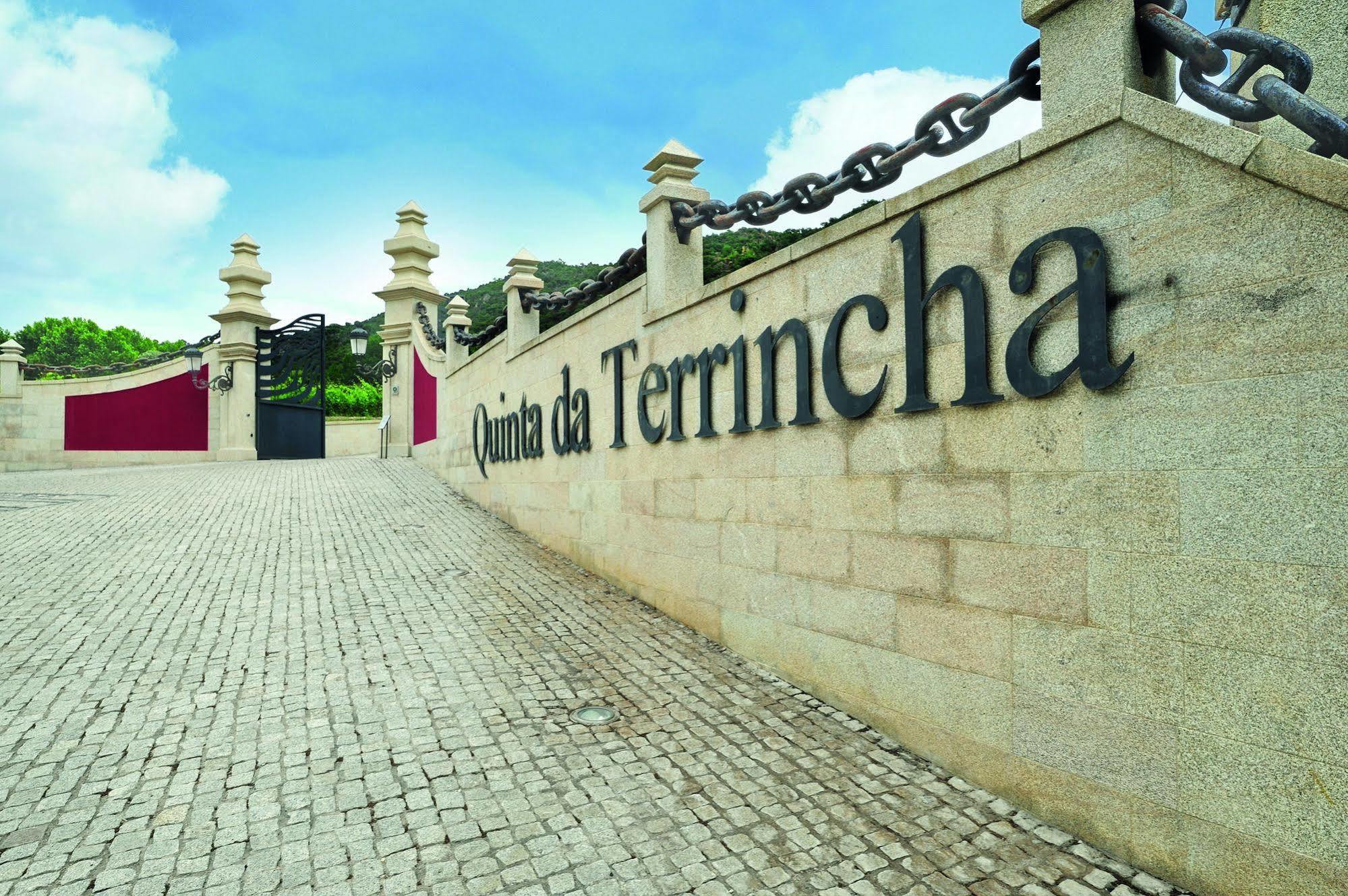 Гостьовий будинок Quinta Da Terrincha Торрі-ді-Монкорву Екстер'єр фото